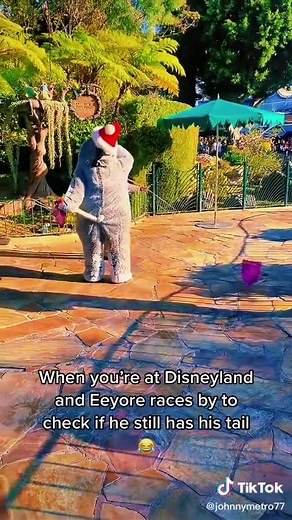 Eeyore Tail Check at Disneyland