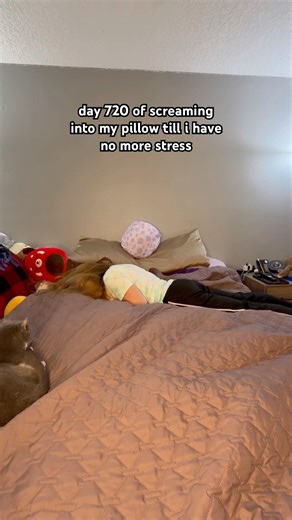 DAY 720 OF SCREAMING INTO MY PILLOW SERIOUS PAINS GOOD DAY