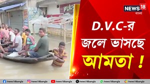 Howrah Flood Situation : D.V.C-র জলে ভাসছে আমতা ! এখনও জলে ডুবে বাড়ি-রাস্তা-জমি #Amta #Flood #Howrah #Rain #WestBengal #News18Bangla #BanglaNews | News18 Bangla