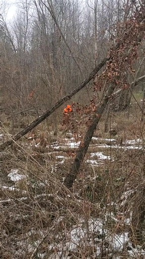 Running Swamp Rabbit on ice 🧊 | Catron's Kennel