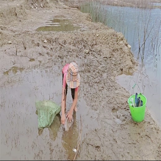 Fishing skills The poor girl went to the lake to catch large tilapia to sell and grill the fish | The Pombing Vide