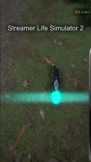Streamer Life Simulator 2 speedrun
