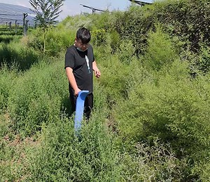 [Hot Item] Xzh Test Underground Cable Pipeline Locator Multifunction Cable Fault Tester Locator