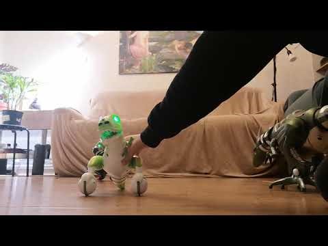 2 zoomer dinos and a roboraptor roaming