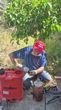 The Mixture That Will Make Your Olive Trees Thrive! (Applied)