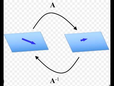 Linear Algebra Series: Inverse and Invertibility