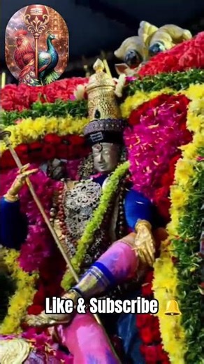 Lord Murugan blessings are believed to bring courage, wisdom, success, & protection from negativity.