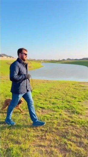 Tucker’s Leash Manners Progress 💪🐶 #doglovers #dogshorts #dogs #puppies #trending #fyp #shorts