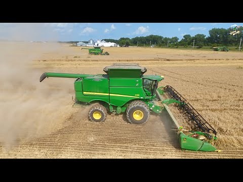 Winter Wheat Harvest 2025 near Ansonia Ohio