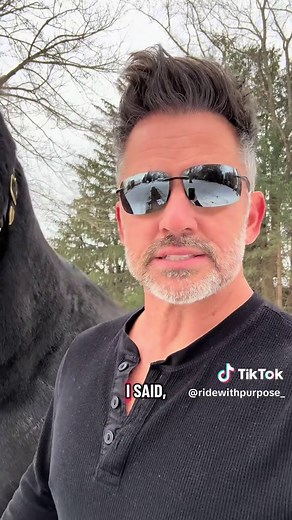 Discover the Life of Friesian Horses