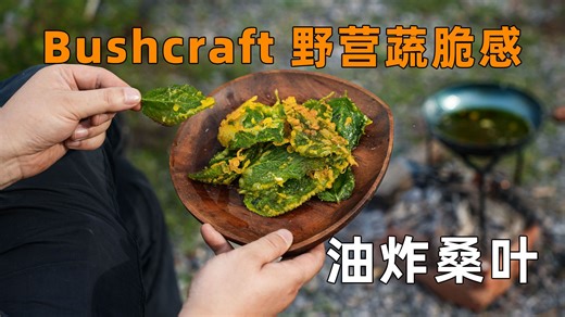 Bushcraft从自然中获取食物，油炸树叶吃过吗？