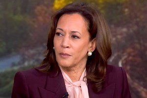 Kamala Harris reflects on 'traumatic' election loss: 'Grieved in a way I have not since my mother died'