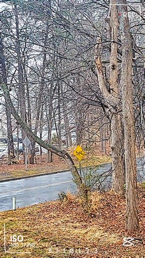 pattikat Martin (@pattikatmartin)’s videos with Happy Epic Violins - Carlos Estella