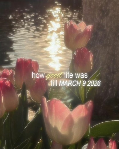 take me back to XO era summer 2024 😭| #ENHYPEN_IS_7 #heeseung #fyp #goviral #bringbackheeseung