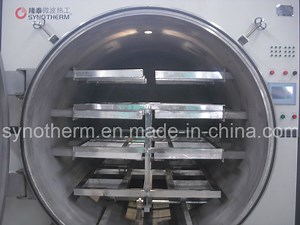 [Hot Item] Microwave Low Vacuum Drying System