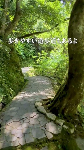S字に曲がりくねった橋を渡ると何かある？