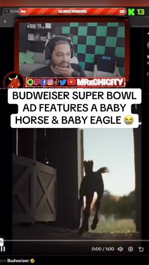 Budweiser’s Super Bowl Ad features a baby horse and a baby eagle 😭 #superbowl #budweiser #nfl #football #horses | MRxChiCity