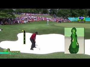 Real golf put into Wii Sports.