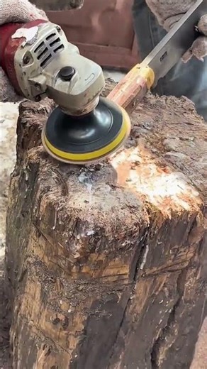 polishing the top of a rough wooden tree stump using an electric sanding machine and a metal blade