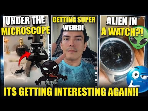 Panama Alien Update: K25 Now Living inside a Watch? WTF Is HAPPENING?