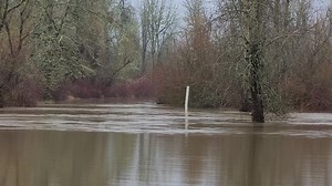 4.1K views · 147 reactions | This is why the lower portion of Willamette Mission State Park is closed. The video was was taken from the Cottonwood parking area this morning. Video by Park Ranger Naikia Benjamin | Oregon State Parks | Facebook