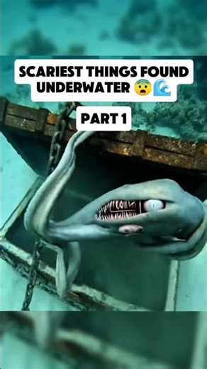 Scariest things found underwater that shouldn't exist 😨🌊