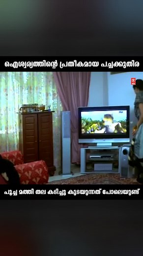 Movie World Cinemas on Reels