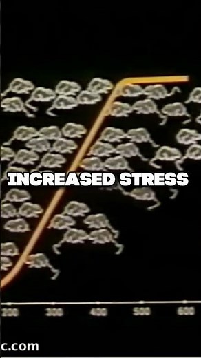 This Rat Experiment Had A Startling Discovery