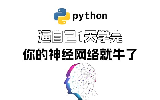 【逼自己1天练完，你的神经网络就牛了】Python入门 | 超详细学习教程 | 适合零基础小白 | 永久免费