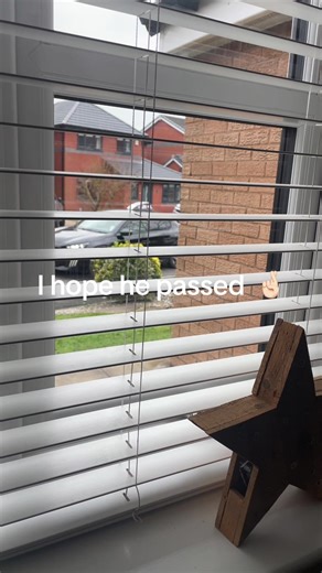 Driving Lessons: Why They Can Be Challenging