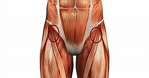 Loosen Up Tight Hips With These 12 Hip Flexor Stretches And Get Rid of Lower Back Pain