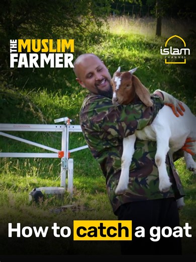 Why Goats Are the Perfect Farm Companions