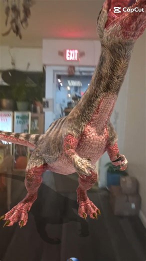 Python 2000 vs Thylaconyx