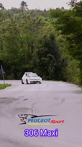 The Peugeot 306 Maxi. Amazing car, what a sound. #wrclegends #historicrallycars #WRCHistory #cochesclasicos #classicrallycar #peugeotwrc #peugeotsport | Valdemar Cardoso