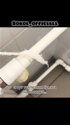 Alexander Sokol on Instagram