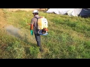WEED KILLER | Glyphosate-What is Glyphosate-how Glyphosate-the weed killer works? ROUND UP