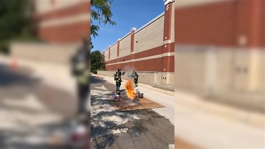 3.1K views · 28 reactions | Did you know that Thanksgiving and...