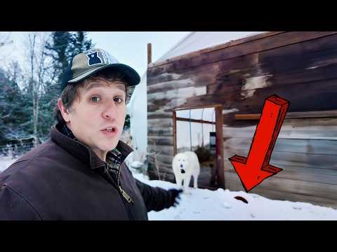 I Think My Farm has a RAT