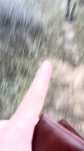 We Love You on Instagram: "What do you want this year? tag a friend!! #wholesome #hopecore #friendship #christmas #streetinterview"