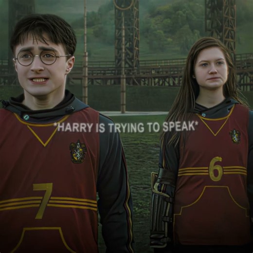 HARRY AND GINNY 67