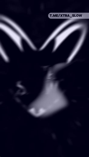 Discover Your Next Favorite Slow Song Playlist