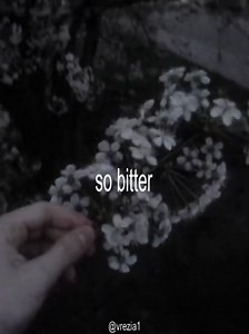 So Bitter - Stxklin (Official Lyrics)