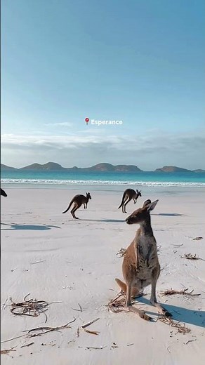 Discover the South West Edge Road Trip in Australia
