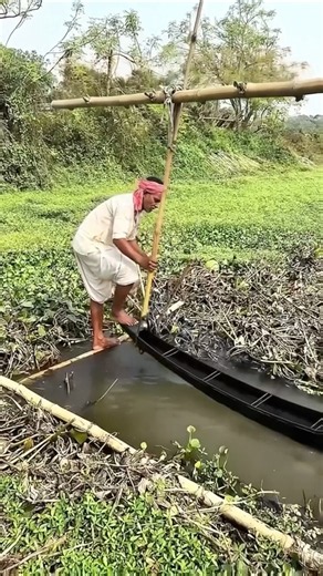 Bamboo Water Lifting System #farming #TraditionalIrrigation #bamboo