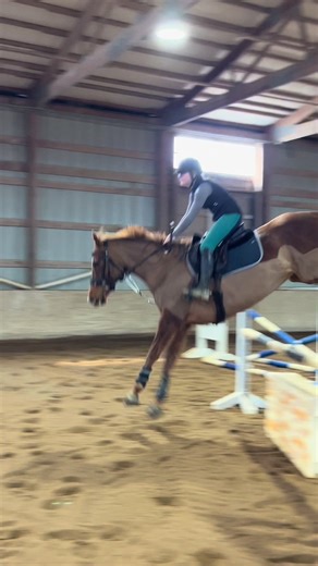 Mastering S Curve Track Work with Faux XC Jumps