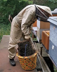 5.7M views · 6K reactions | I'd be too scared to do this! 﫣 | Lessons Learned In Life | Facebook