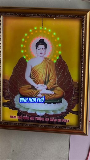 Dong Nguyen on Reels