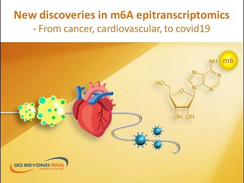 New discoveries in m6A epitranscriptomics - From cancer, cardiovascular, to covid-19