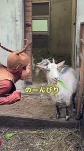 【生き物探し】1日で何種類の生き物に出会える？ #カブトムシ