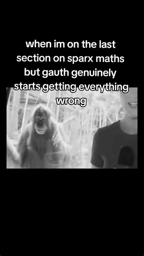 Struggles with Sparx Maths: A Satirical Take